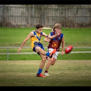 Meet your Posher, Hayden